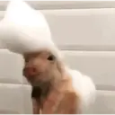Figurinha