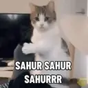Kucing-Kucingan 3 1