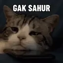 Kucing-Kucingan 3 2