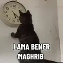 Kucing-Kucingan 3 3