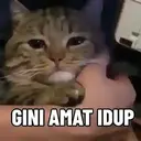 Kucing-Kucingan 3 4