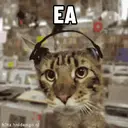 Kucing-Kucingan 3 5
