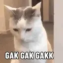 Kucing-Kucingan 3 8