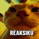 Kucing-Kucingan 3 13