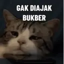 Kucing-Kucingan 3 14