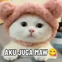 Kucing Kiyowo  5