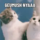 Kucing Kiyowo  9