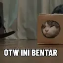 Kucing Kiyowo  11