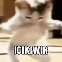 Kucing Kiyowo  12