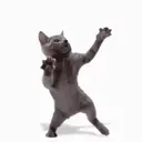 Kucing Kiyowo  13