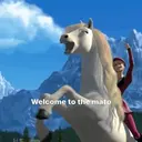 WELCOME TO THE MATO 🤠 8