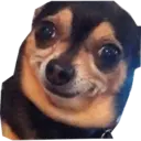 Memes Aleatórios 3