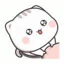 Funny Cat 6