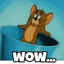 Jerry Expressions 15