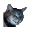 Kucing gumus 2