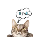 Kucing gumus 4