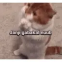 Peduliii 3