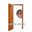 SLAYERSHIT 26