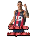 TD Systems Baskonia 1
