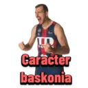 TD Systems Baskonia 4