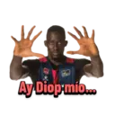 TD Systems Baskonia 17