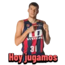 TD Systems Baskonia 24