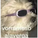 Buenardo._ 7