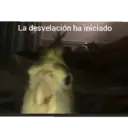 Buenardo._ 21
