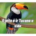 Trocadalho do carilho 7
