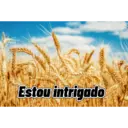 Trocadalho do carilho 8