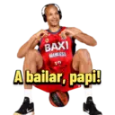 Baxi Manresa 14