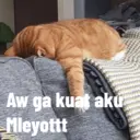 Aw ga kuat aku
Mleyottt