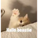 Hallo beastie
MAN