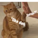 Setuju?**
*Oke deh