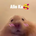 Allo Ka