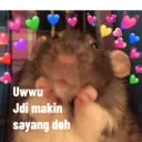 Uwwu
Jdi makin
sayang deh