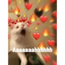 Aaaaaaahhhhhh