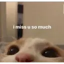 i miss u so much