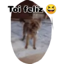 Animales 1