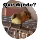 Animales 2