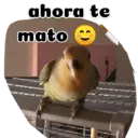 Animales 3