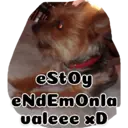 Animales 4