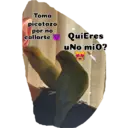 Animales 5