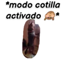 Animales 7