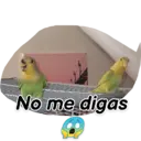 Animales 9