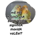 Animales 11