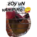 Animales 13