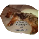 Animales 17
