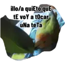 Animales 19