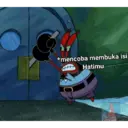 Petrik 23